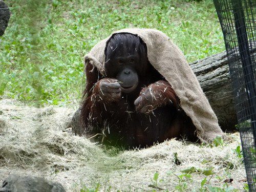 2CEDFBD0AEDAAEF45EC7881241814E19 2CEDFBD0AEDAAEF45EC7881241814E19