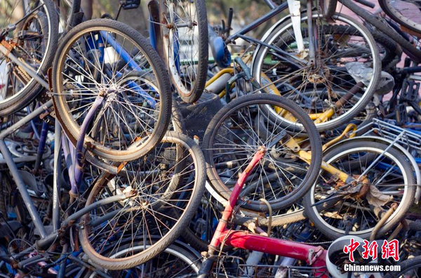 湖南一高校内现“自行车坟场”3