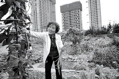 028E30B85466 028E30B85466