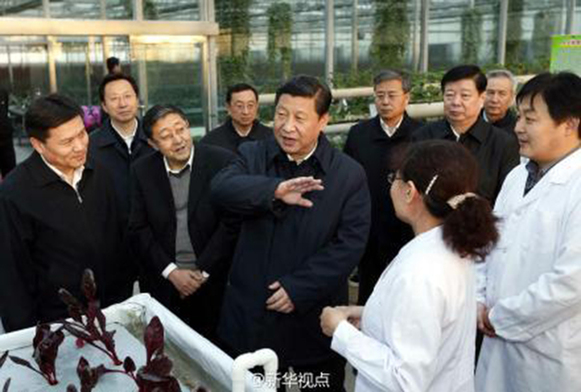 3557082345748852120 3557082345748852120