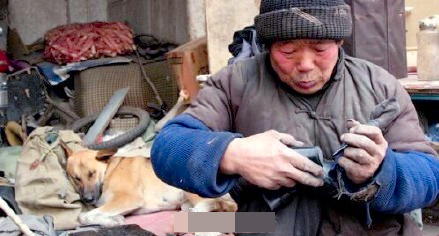 忠犬推残疾主人去摆摊-天冷帮助人暖脚2