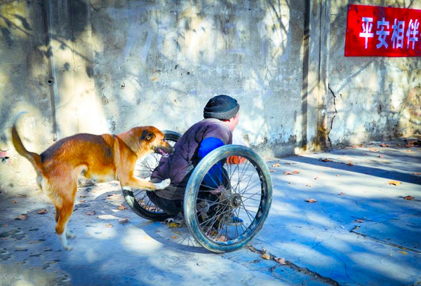 忠犬推残疾主人去摆摊-天冷帮助人暖脚6