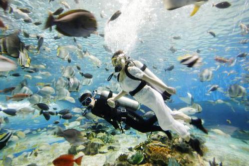 W020141229360348697024 W020141229360348697024