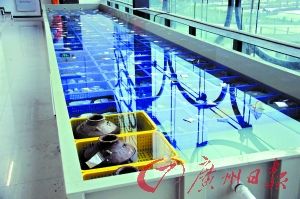 脱盐库房的脱盐池摆放着大量的出土文物。