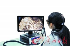 工作人员正在对一片出土的金箔进行分析和信息采集。