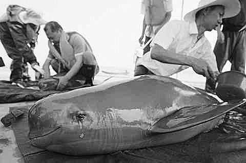 127348591_14199818766181n 127348591_14199818766181n