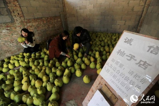 10155531143023591144 10155531143023591144