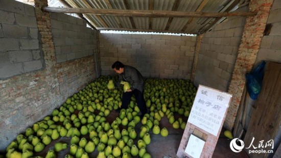 5516784057383541658 5516784057383541658