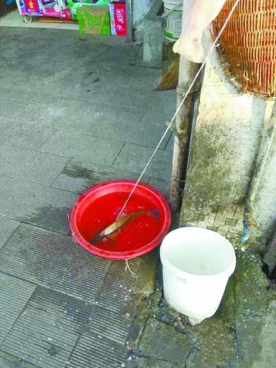 2143874177 2143874177