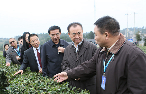 C20150116001-zx7 C20150116001-zx7