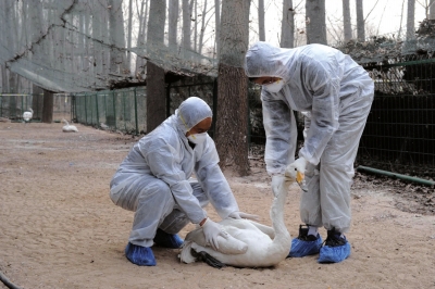 W020150118122614253874 W020150118122614253874