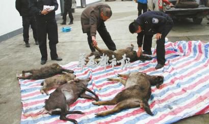 W020150120213658389384 W020150120213658389384