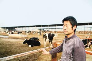泾阳奶牛养殖户吕小锋正在为目前的奶价行情发愁 泾阳奶牛养殖户吕小锋正在为目前的奶价行情发愁