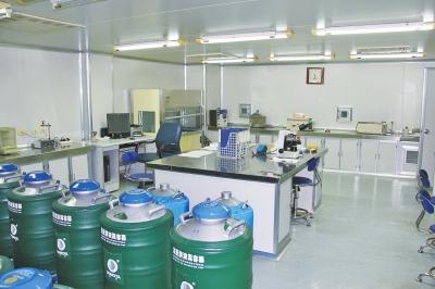 河南捐精人数5年增12倍 捐精15次可获5千补贴 2 河南捐精人数5年增12倍 捐精15次可获5千补贴 2