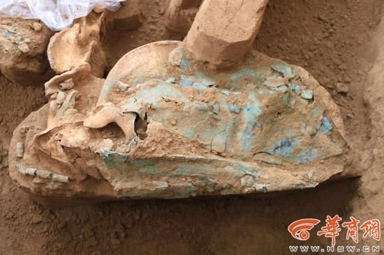 Img407945207 Img407945207