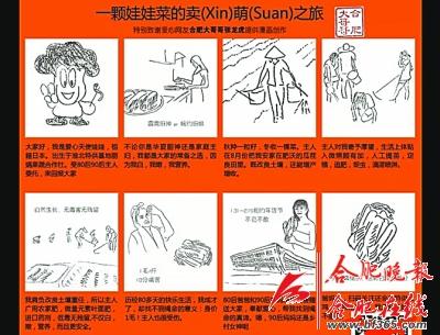 娃娃菜滞销菜农欲掩埋 80后癌友买三万斤送市民1 娃娃菜滞销菜农欲掩埋 80后癌友买三万斤送市民1