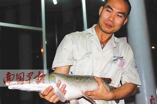 W020150126326456665943 W020150126326456665943