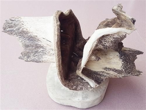 U5566P1081T2D178095F6DT20150130115713 U5566P1081T2D178095F6DT20150130115713