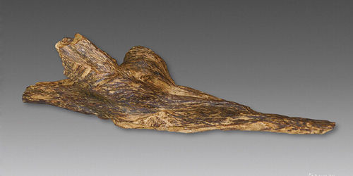 U5083P1081T2D178239F6DT20150202075100 U5083P1081T2D178239F6DT20150202075100