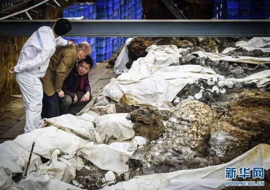 国家非物质文化遗产“水密隔舱福船制造技艺”传承人陈芳财(中)专程从福建晋江前来考察“南海一号”沉船。