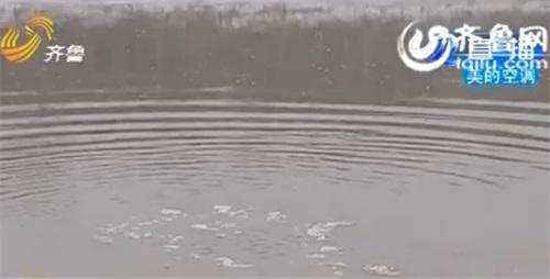 山东聊城徒骇河现“无底洞” 吸干河水致断流(图)1 山东聊城徒骇河现“无底洞” 吸干河水致断流(图)1