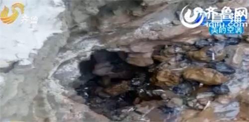 山东聊城徒骇河现“无底洞” 吸干河水致断流(图)2 山东聊城徒骇河现“无底洞” 吸干河水致断流(图)2