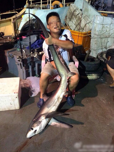 W020150202677127798535