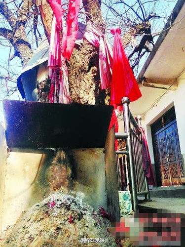 abc6b95c5571476da4a70fd2f4d200bc abc6b95c5571476da4a70fd2f4d200bc