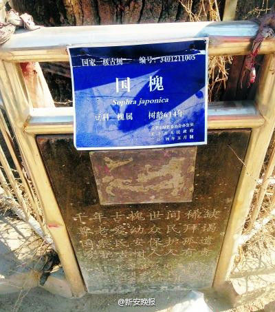 79c31b3a64574af1a2839dd1c71adbc5 79c31b3a64574af1a2839dd1c71adbc5