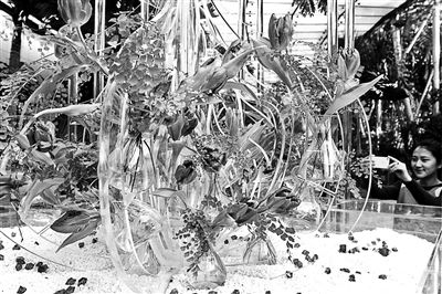 W020150212180570682753 W020150212180570682753