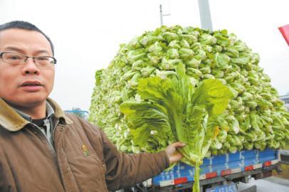 拉青菜走高速收费2 拉青菜走高速收费2