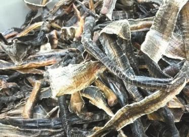 成都中药材市场被曝光1 成都中药材市场被曝光1