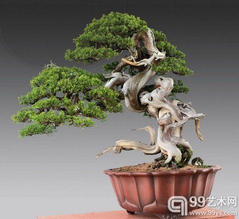 U5083P1081T2D179401F6DT20150211102306 U5083P1081T2D179401F6DT20150211102306