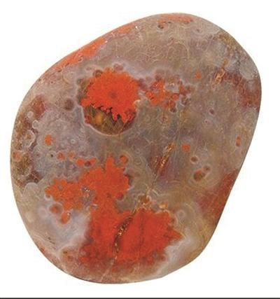 W020150213375492853200 W020150213375492853200