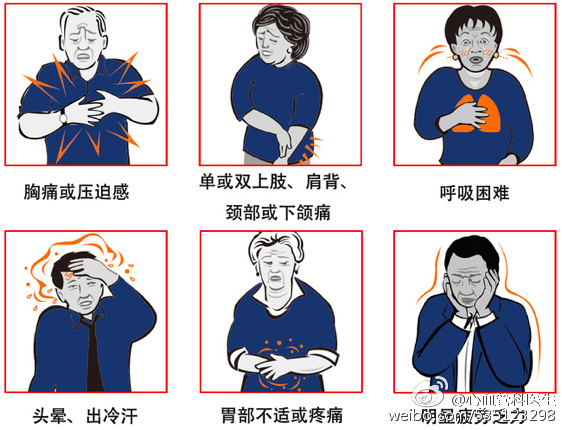 mp2795354_1423997724460_2_th mp2795354_1423997724460_2_th