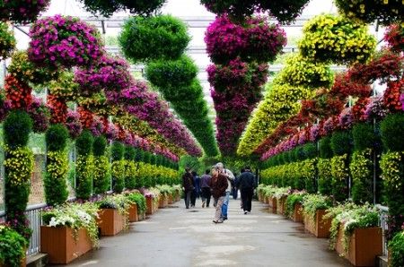 2015021709493371922 2015021709493371922