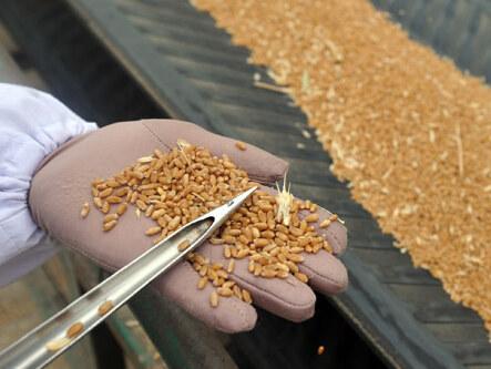 2246020033 2246020033