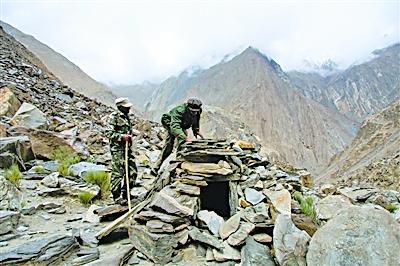 2038982433 2038982433