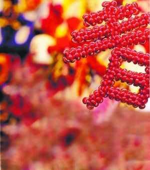 U8596P1081T2D180345F7DT20150226081732 U8596P1081T2D180345F7DT20150226081732