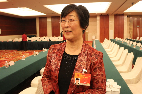 人大代表刘凤 人大代表刘凤