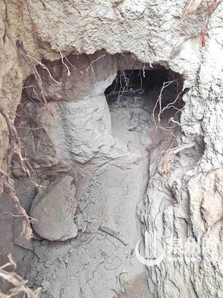 20150307140536a15c5_550 20150307140536a15c5_550