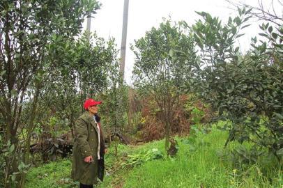 2341044007 2341044007