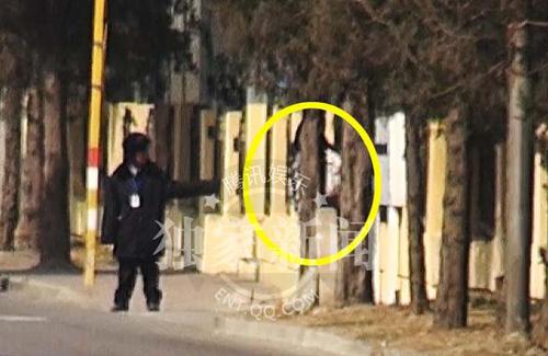 W020150316246456658815 W020150316246456658815