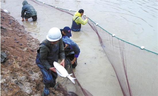 U621P4T8D7131157F107DT20150316093934 U621P4T8D7131157F107DT20150316093934