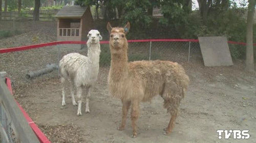 W020150316528984116764 W020150316528984116764