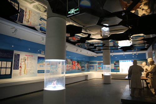 和也睡眠博物馆3