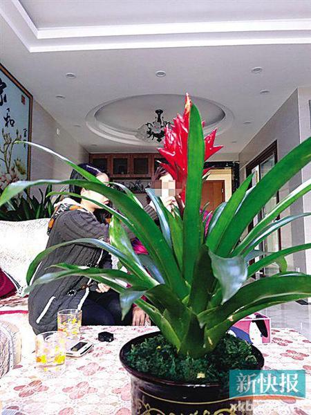 6f970b30686c7ef 6f970b30686c7ef