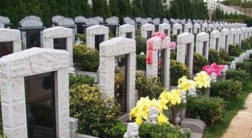 7657947_733316 7657947_733316