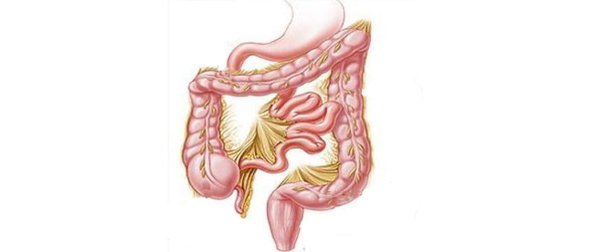 mp7942474_1427299435388_1_th mp7942474_1427299435388_1_th
