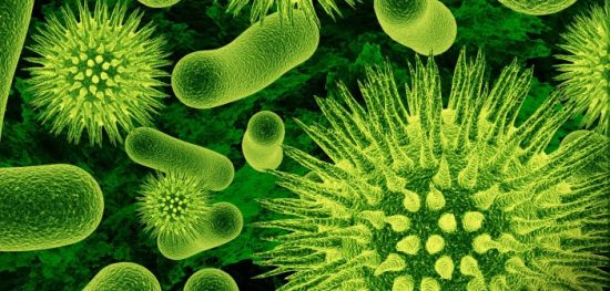 17483201667476530376 17483201667476530376